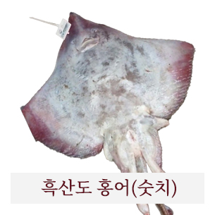진품 흑산도 참홍어 숫치한마리6kg이상