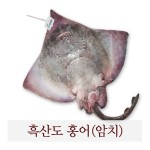 진품 흑산도 참홍어 암치한마리7kg이상