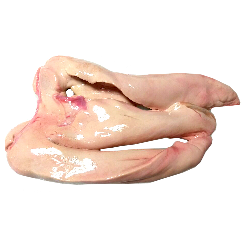 탕거리 홍어애1kg